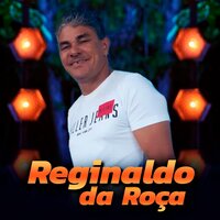 Vamos Terminar - Reginaldo Da Roça