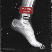 Ankle Bully - Dribble2Much