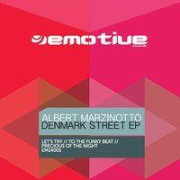 Let's Try - Albert Marzinotto
