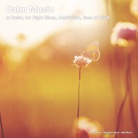 Relaxing Music for Spa - Soft Music & Relaxation Music & Slow Music