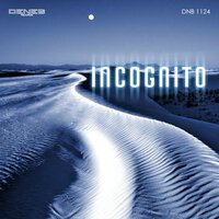 Incognito - Vibinoise