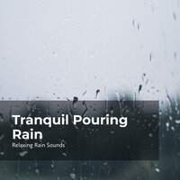 Still Pelting Rainfall - Relaxing Rain Sounds & Rain Drops for Sleep & Rain for Sleep
