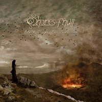 We Ain't Ashes - Shores Of Null