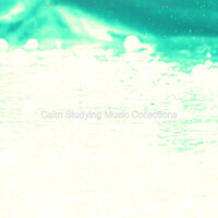 Cultured Pop Sax Solo - Vibe for Rainy Day Studying - Calm Studying Music Collections