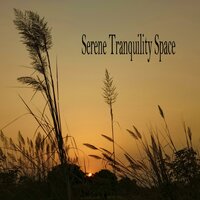Deep Vold - Música Relajante & Sonidos Naturaleza & Música de concentración profunda