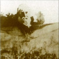 Abereen artean - Txomin Artola