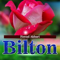 Mina Gham Mina Or - Fawad Akbari