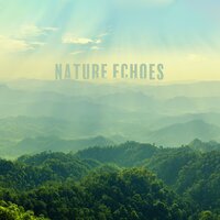Happy Bird Sounds - Calm Nature Oasis