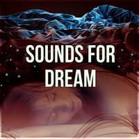 Sleep Well - Restful Sleep Music Collection