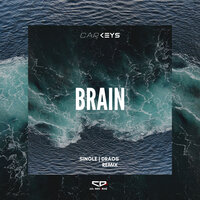 Brain - Carkeys