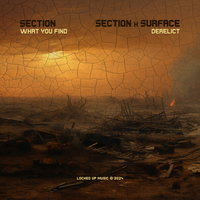 What You Find - Section