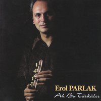 Yeşil Başlı Gövel Ördek - Erol Parlak