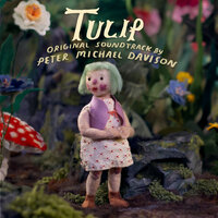 Tulip - Peter Michael Davison