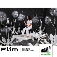 Positive Imagination - Flim