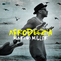 We Were There - Marcus Miller