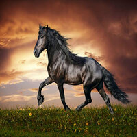 Lil Nas X - Old Town Road - Ken'zii Bwa