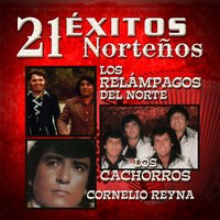 Si Tu Supieras - Cornelio Reyna