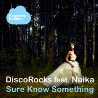 Sure Know Something - Naïka & Rafael Yapudjian & Discorocks