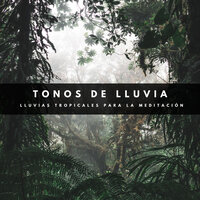 Amables Músicas De Agua - Tormenta Jamaicana & Lluvia para Dormir ASMR & Meditación Guiada
