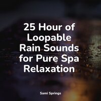 Birds Singing in the Forest - Calming Rainforest Sounds & Sleeping Baby Songs & Nature Chillout