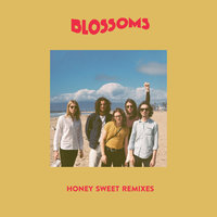 Honey Sweet - Blossoms & The Revenge
