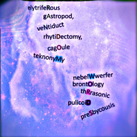 pichiciego - Random Words & Phloide & Computer Poetry Reading