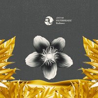 Mechanics - Filterheadz