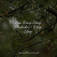 Calm - Baby Sleep Music & Zen Meditate & Sleeping Music
