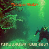 Hit by a Bus - Colonel Bender and the Bent Fenders
