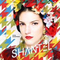 Disko Devil - Shantel