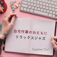 Concentrating Chords - Daytime Owl