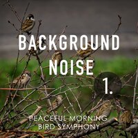Peaceful Morning Bird Symphony, Pt. 11 - Thomas O'Reilly