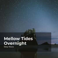 Evenfall Ocean Tides - Ocean Waves for Sleep & Sleep Waves & Ocean Waves