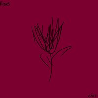 roses - Cait
