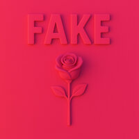 Fake - Philippe Sec