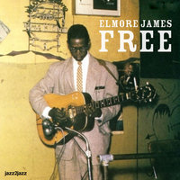 Dust My Broom - Elmore James