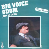 Memo Blues - Big Voice Odom & Magic Slim & Lucky Peterson