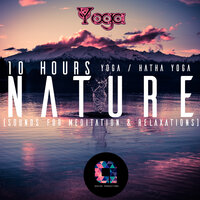 Rainforest Meditation - Yoga & Hatha Yoga