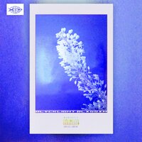 Blvcklight Blxssxm - Xeal