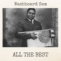 Phantom Black Snake - Washboard Sam