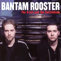 Safe Cracker - Bantam Rooster