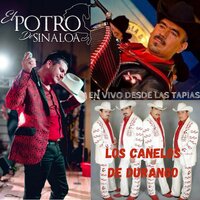 Renunciacion - El Potro De Sinaloa & Los Canelos de Durango & El Potro de Sinaloa, Los Canelos De Durango