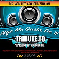 Algo Me Gusta de Ti Tribute To Wisin & Yandel - Brava HitMakers