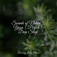 Petals of a Flower - Echoes of Nature & Calming Sounds & Hipnose Natureza Sons Coleção