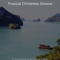 Auld Lang Syne - Tropical Christmas Groove
