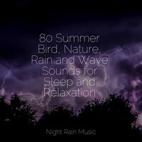Forest, Busy, Animals - Mindfulness Mediation World & Pink Noise & Natural Sound Makers