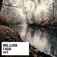 Rain like Noise - Musica relajante & Sonido Del Bosque y Naturaleza & Relaxation Guru