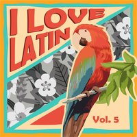 No Llores - Carmen Luisa