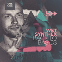 Disco De Paris - Wet Synthex
