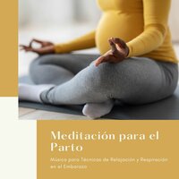 Embarazo - Milagro de la Vida
